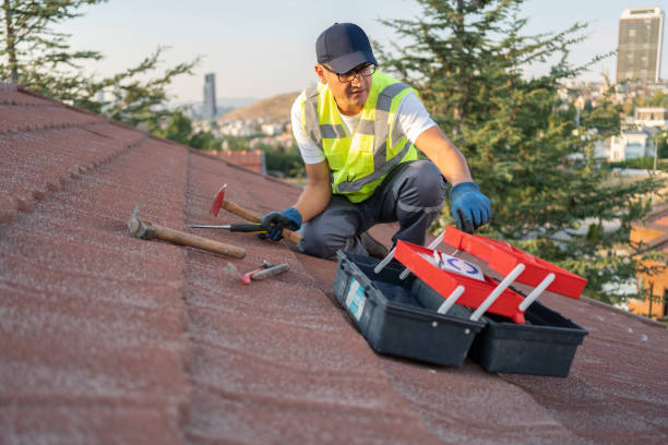 Best Shed Removal  in El Segundo, CA